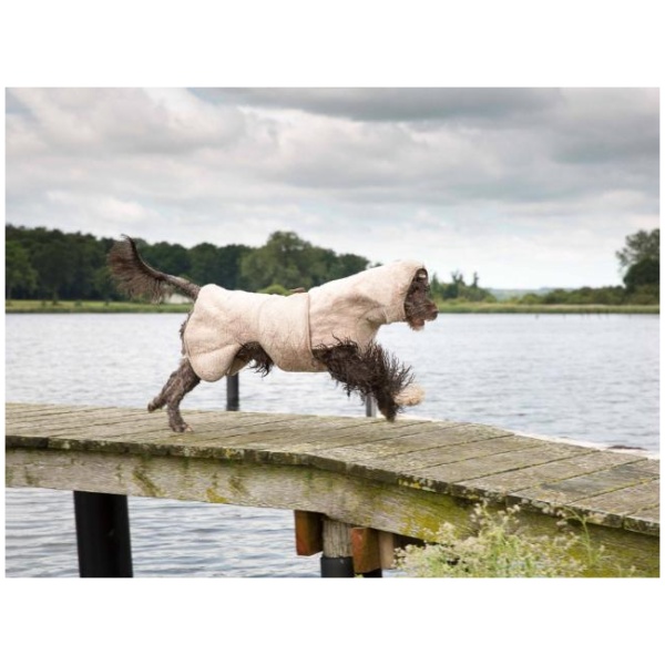 Dry your dog in 15 minutes with Siccaro