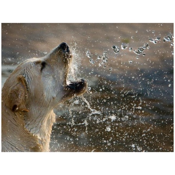 Cooling: From drying suit to cooling suit