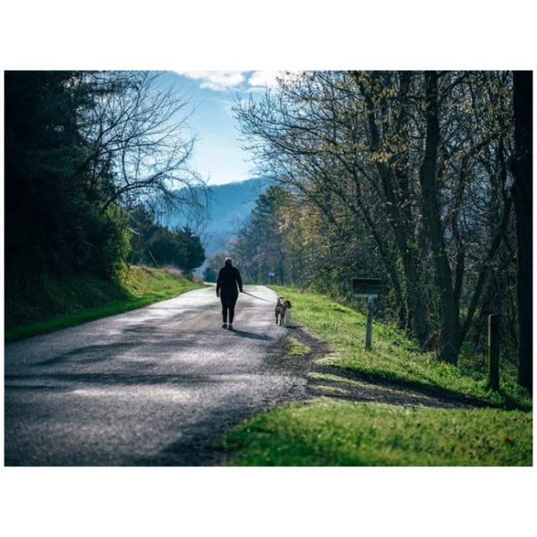 Høm høm posen frem – det er pinligt IKKE at samle lorten op!