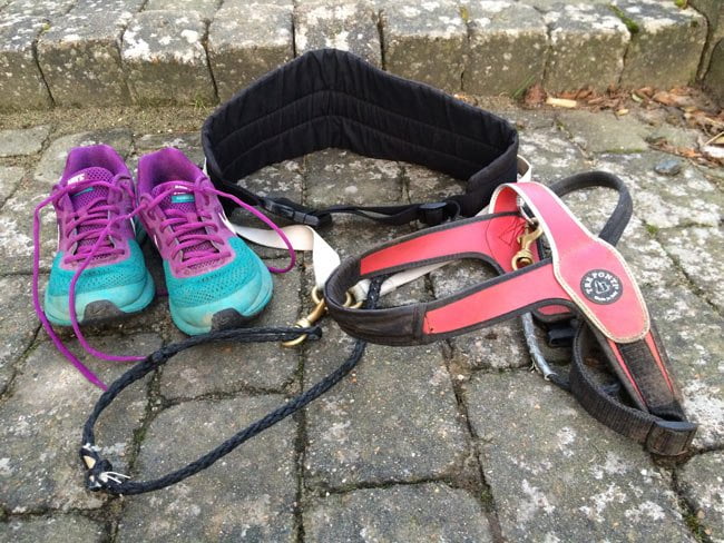 Read more about the article Lad din hund være din løbemakker