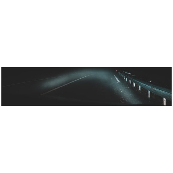 Gør din hund synlig i trafikken