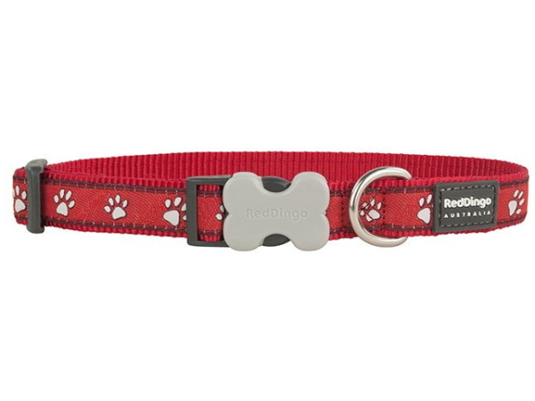 Collare Dingo rosso, zampe rosse, 24-36cm/15mm