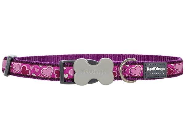 Red Dingo halsbånd, b-love lilla, 31-47cm/20mm