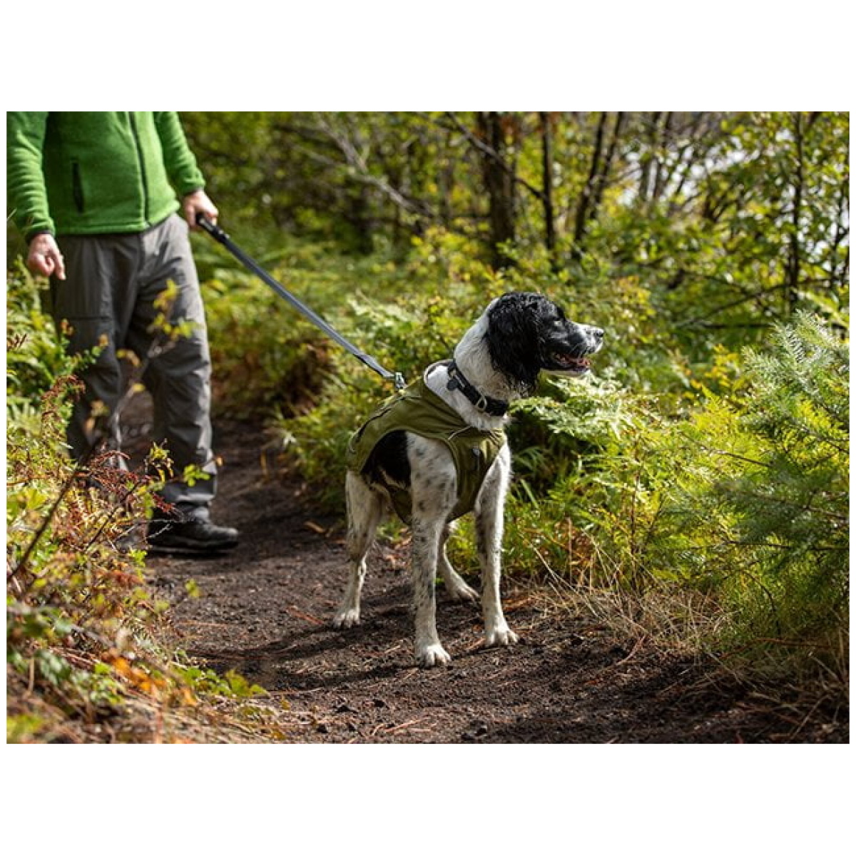 Ruffwear Overcoat Fuse Jacket, Cedar Green - Billede 7