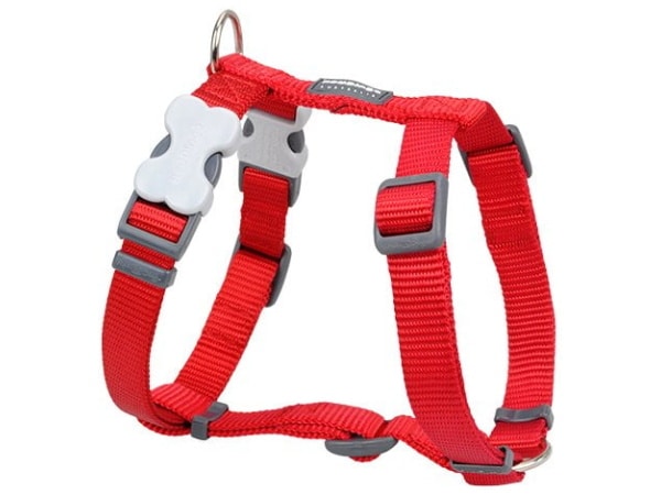 Red Dingo sele, classic rød