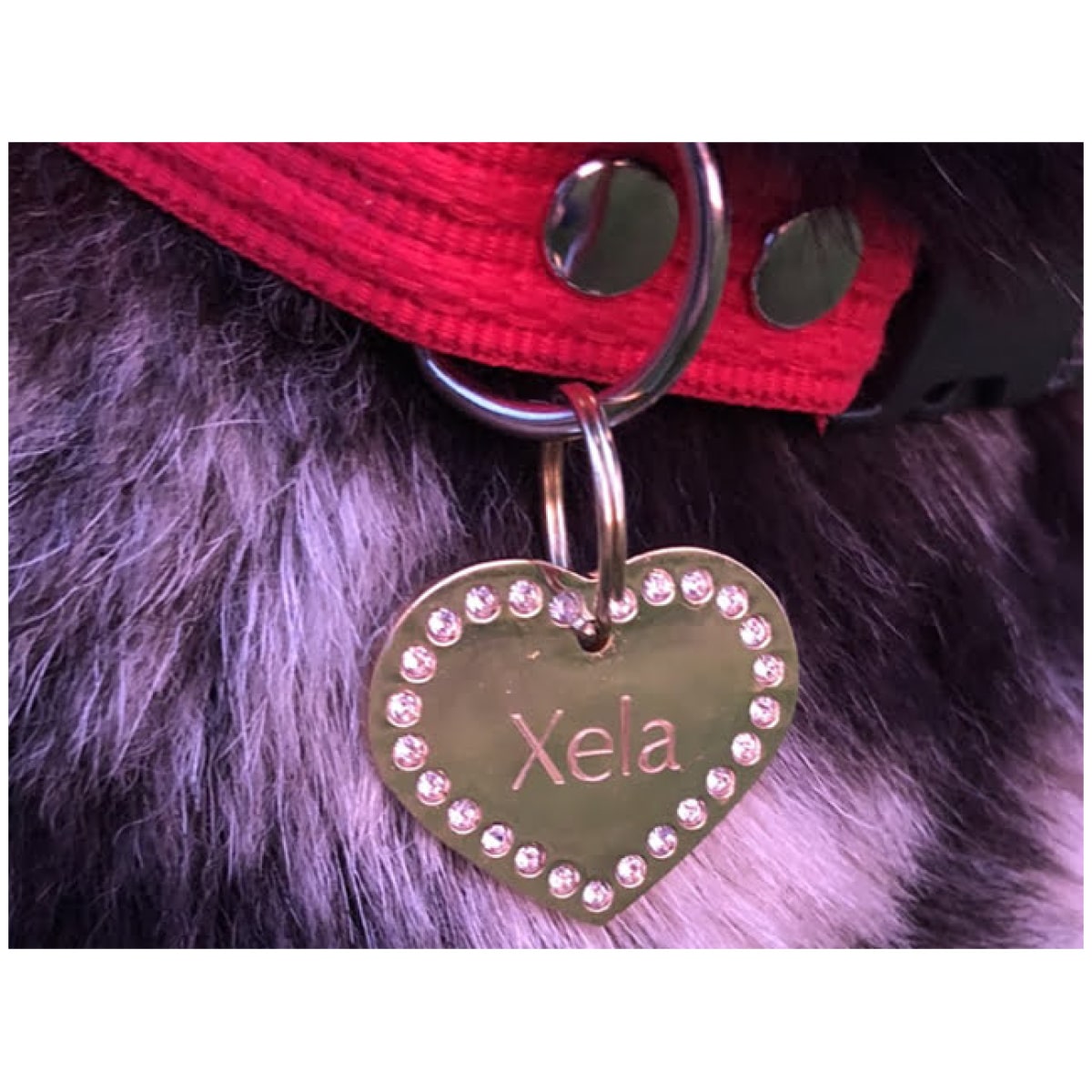 Collare Fenriz, rosso - immagine 6