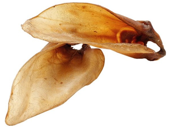 Orecchie di bue con muscolo