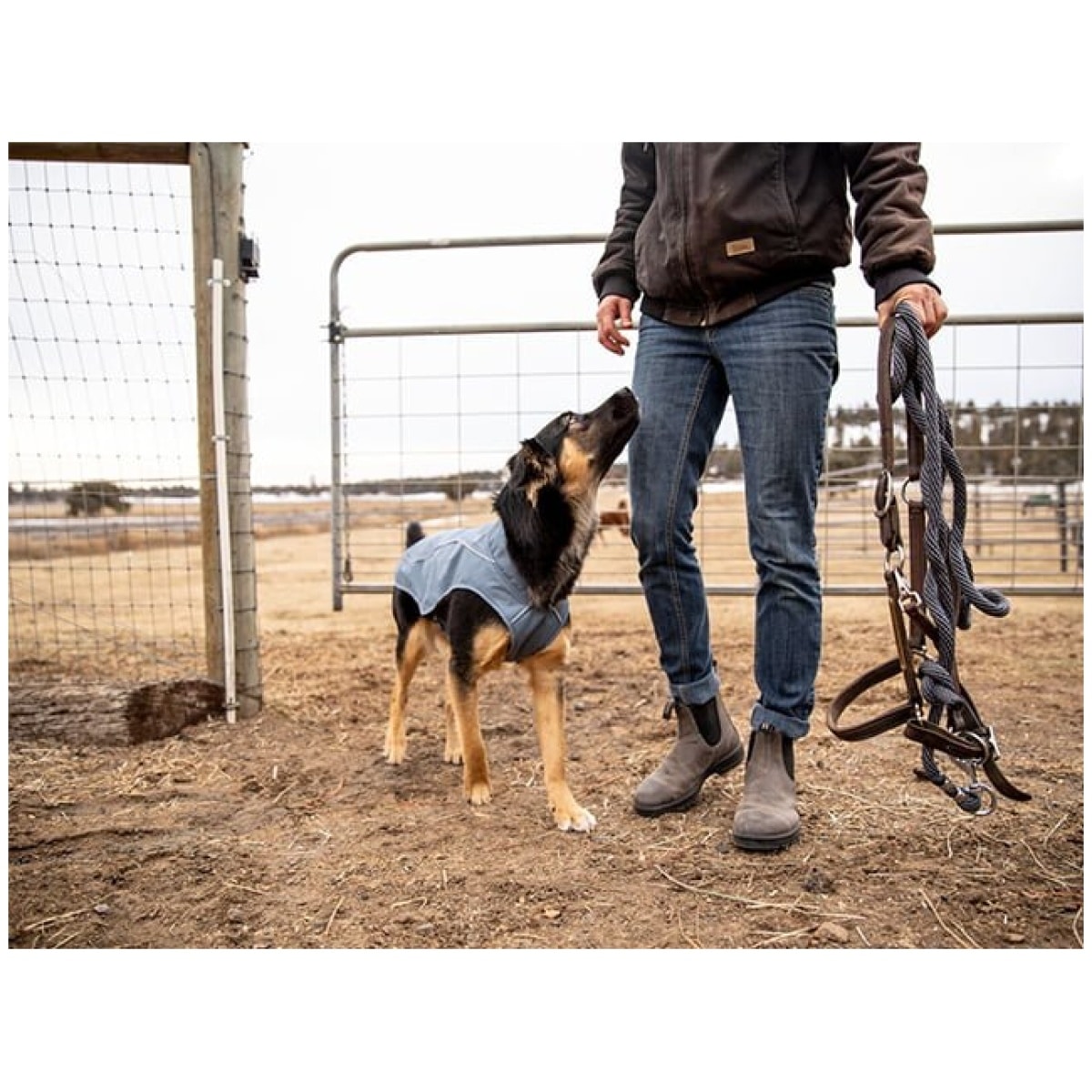 Ruffwear Overcoat™-Gebrauchsjacke, Schieferblau – Bild 7