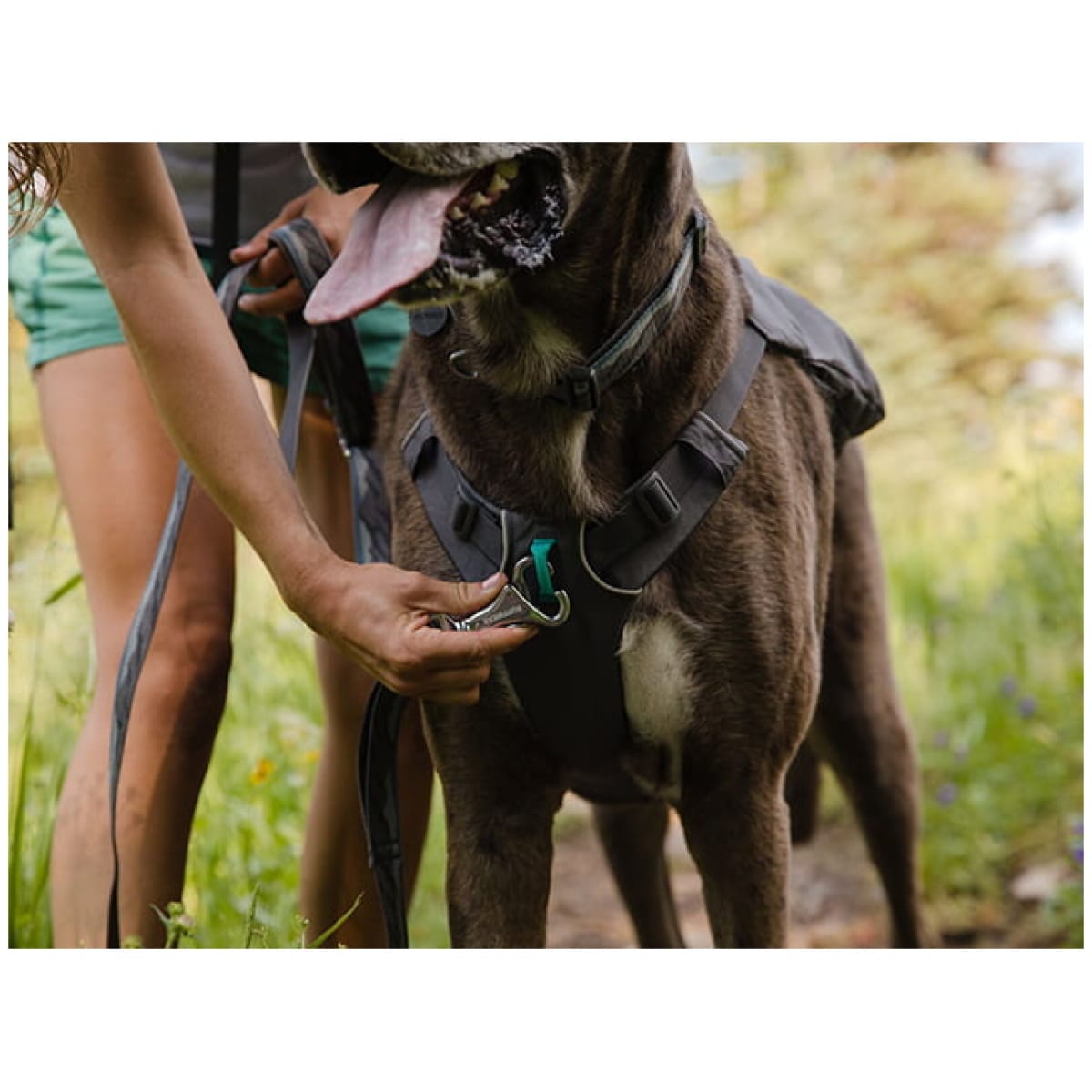 Ruffwear Switchbak™ Harness, Granite Gray - Image 6