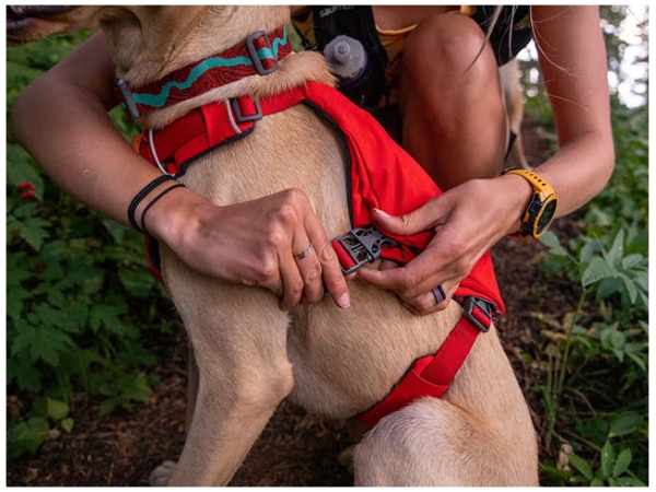 Ruffwear Switchbak™ Sele, Red Sumac