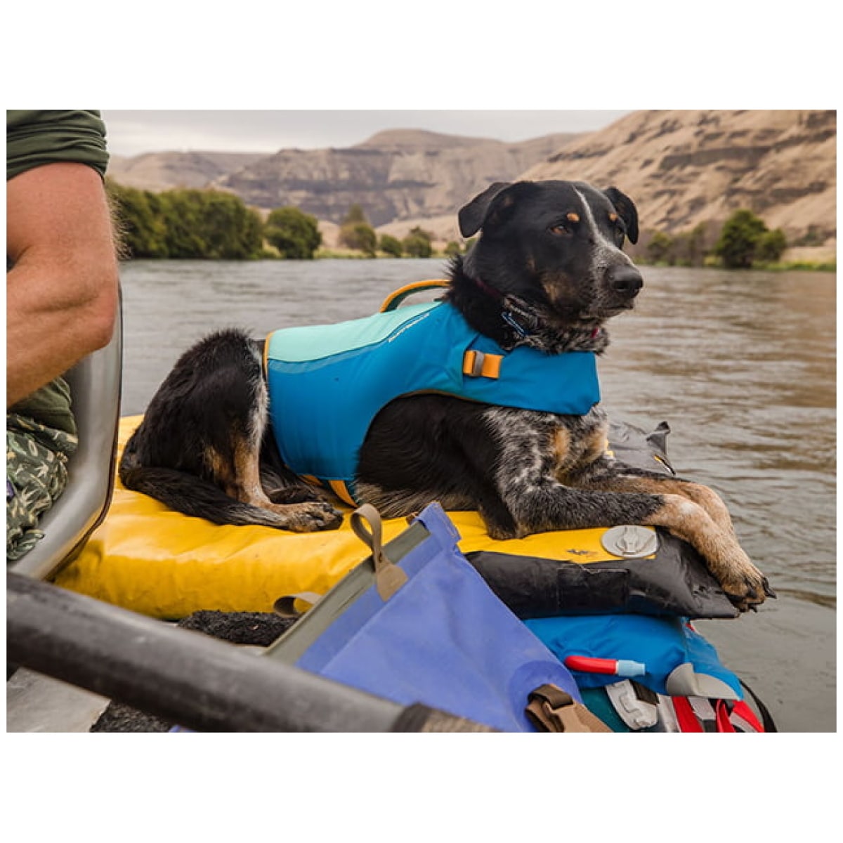 Ruffwear Float Coat, Blue Dusk - Billede 6
