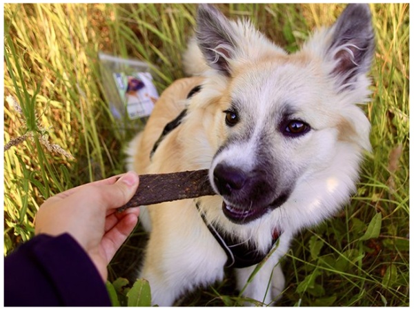 Strisce di carne Tikki con carne di cervo, 100g – MHT 30.10.22