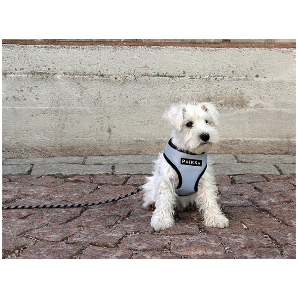 Paikka Visibility sele, grå - Billede 7