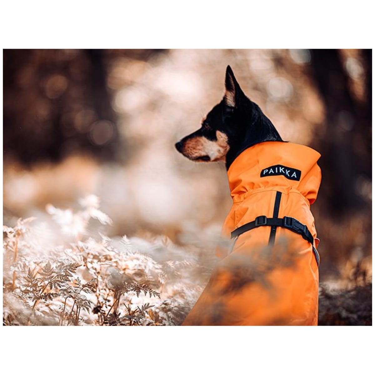 Paikka Recovery regnfrakke, orange - Billede 17