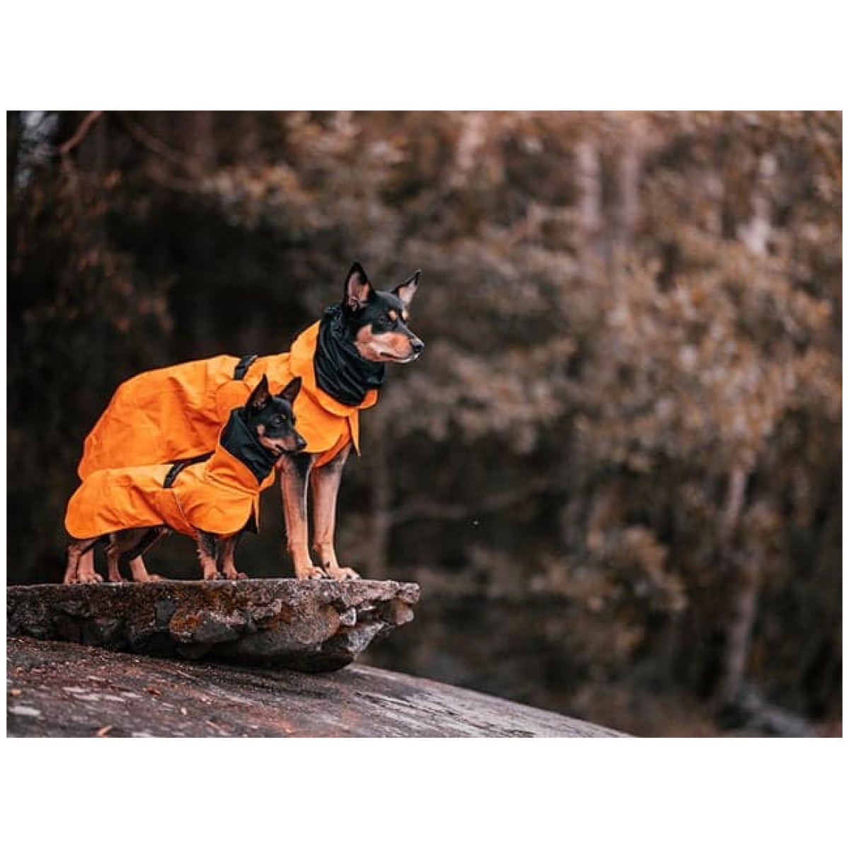 Paikka Recovery regnfrakke, orange - Billede 13