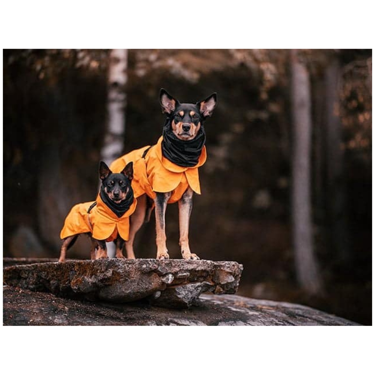 Paikka Recovery regnfrakke, orange - Billede 12