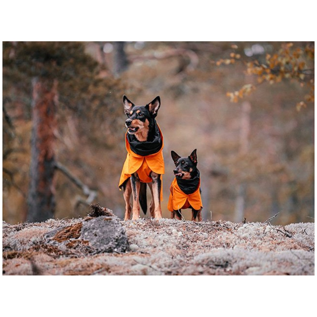 Paikka Recovery regnfrakke, orange - Billede 10