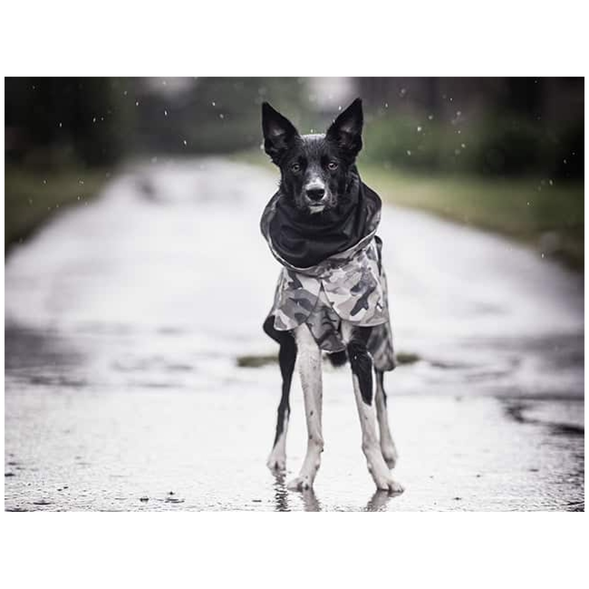 Paikka Recovery regnfrakke, camo - Billede 17