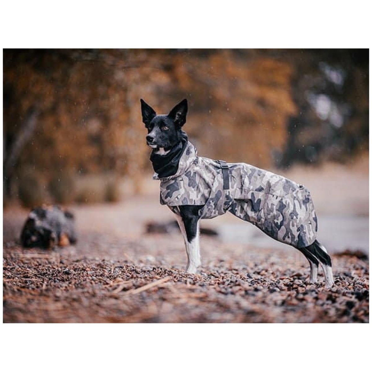 Paikka Recovery regnfrakke, camo - Billede 15