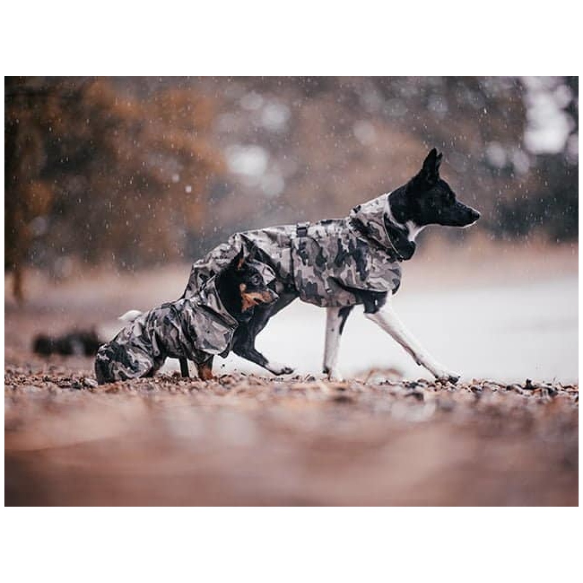 Paikka Recovery regnfrakke, camo - Billede 14