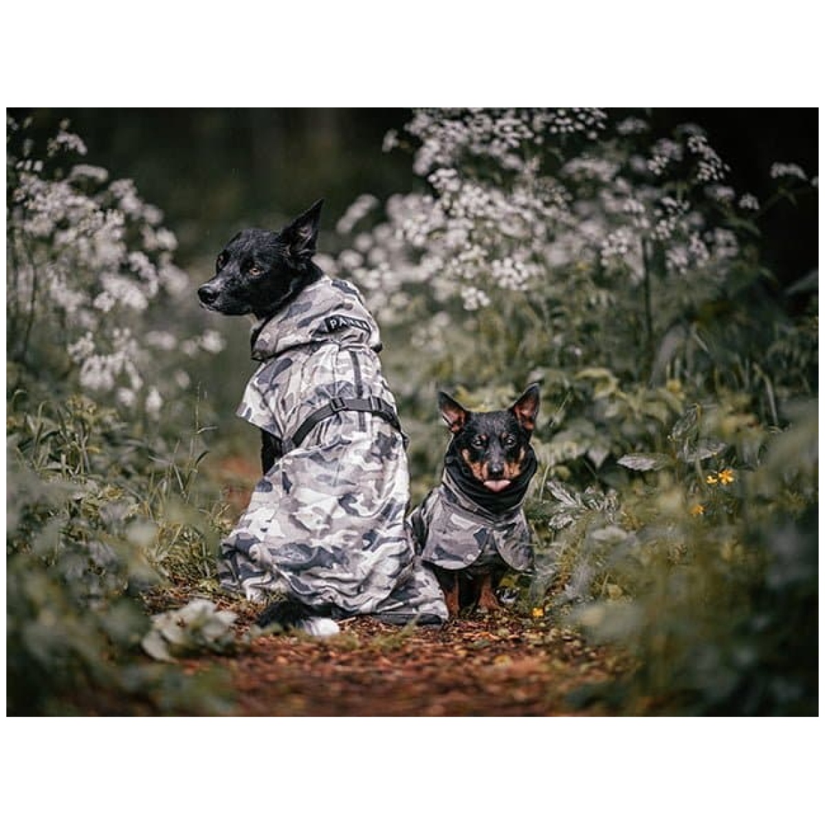 Paikka Recovery regnfrakke, camo - Billede 13