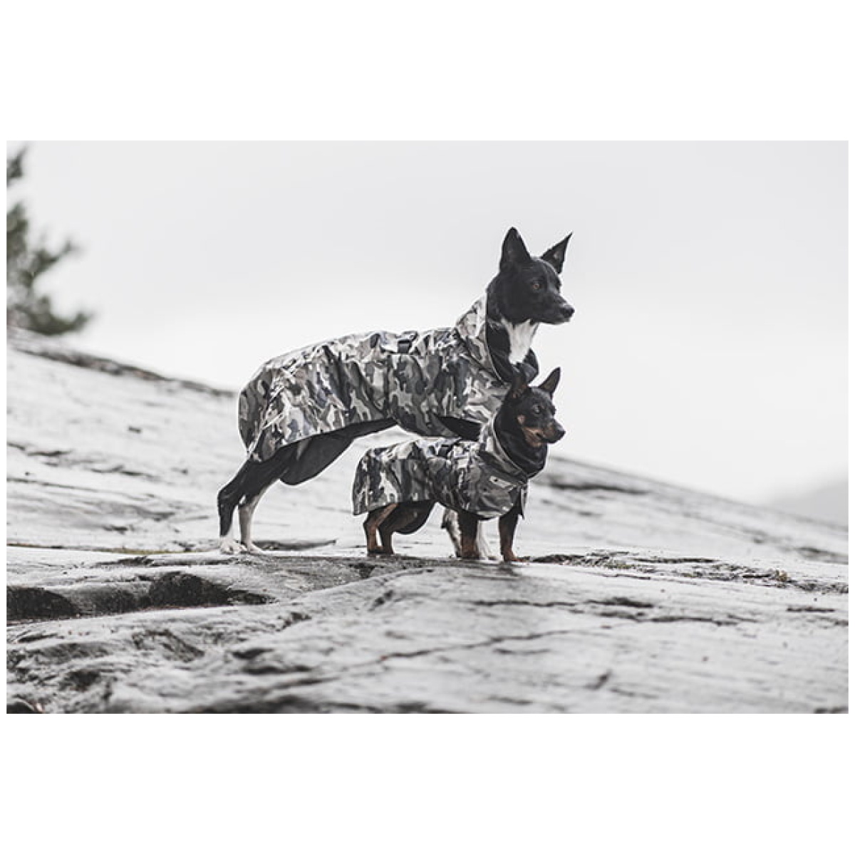 Paikka Recovery regnfrakke, camo - Billede 6