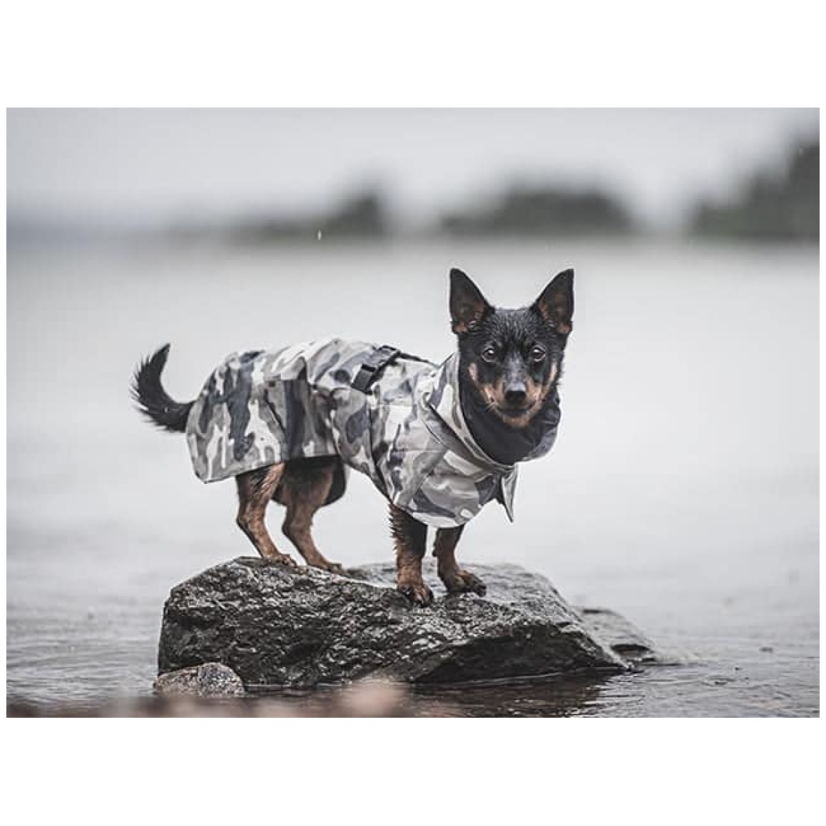 Paikka Recovery regnfrakke, camo - Billede 11