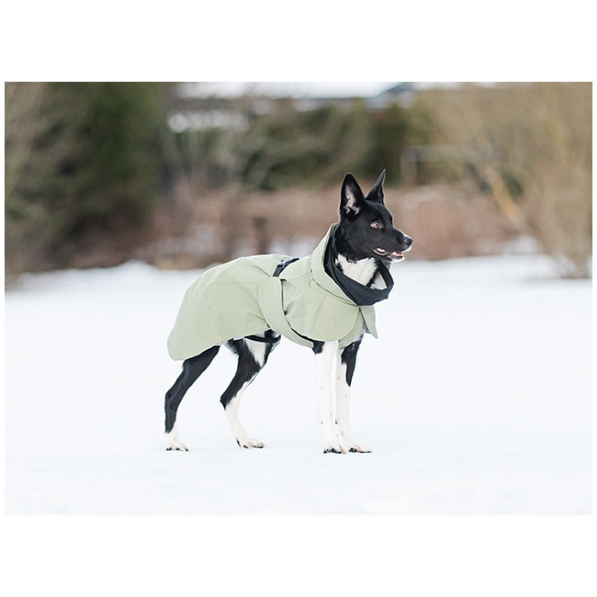 Paikka Recovery winther jacket