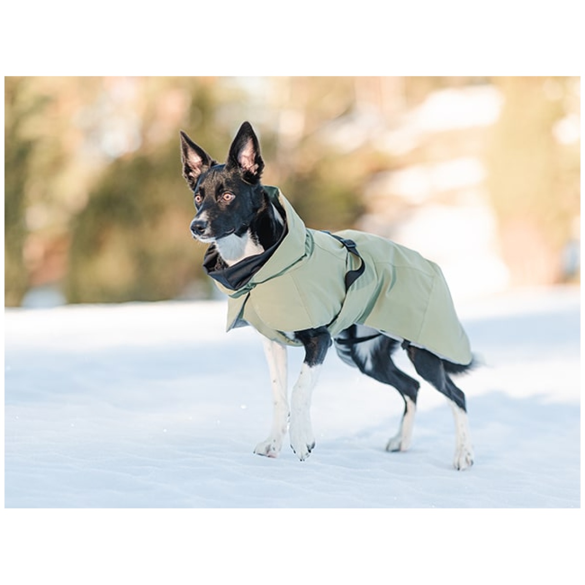 Paikka Recovery winter coat, green - Image 9