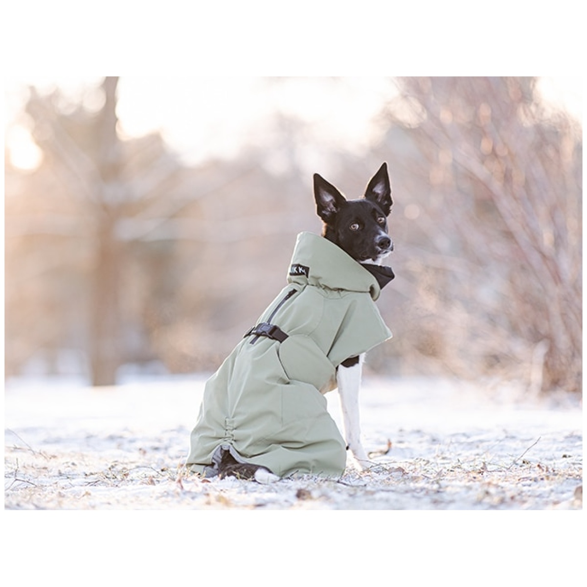 Paikka Recovery winter coat, green - Image 7
