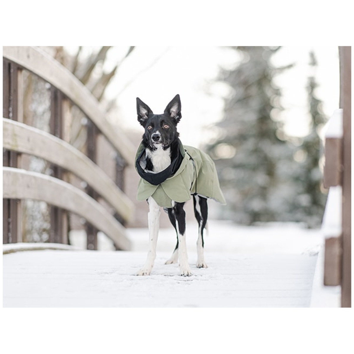 Paikka Recovery winter coat, green - Image 10