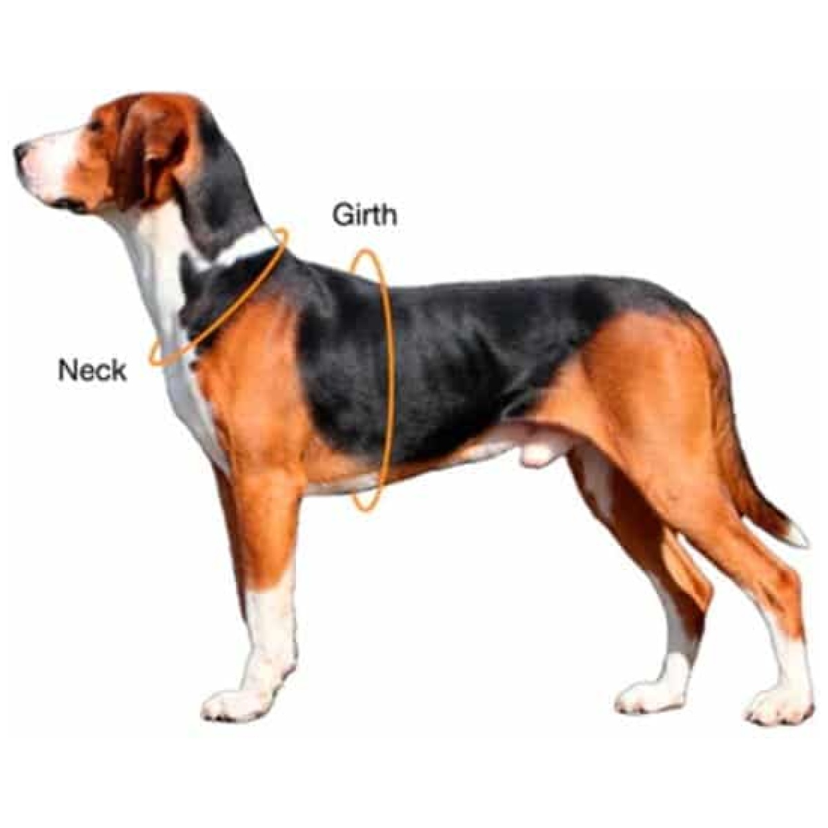 Paikka Visibility sele, mørk - Billede 10