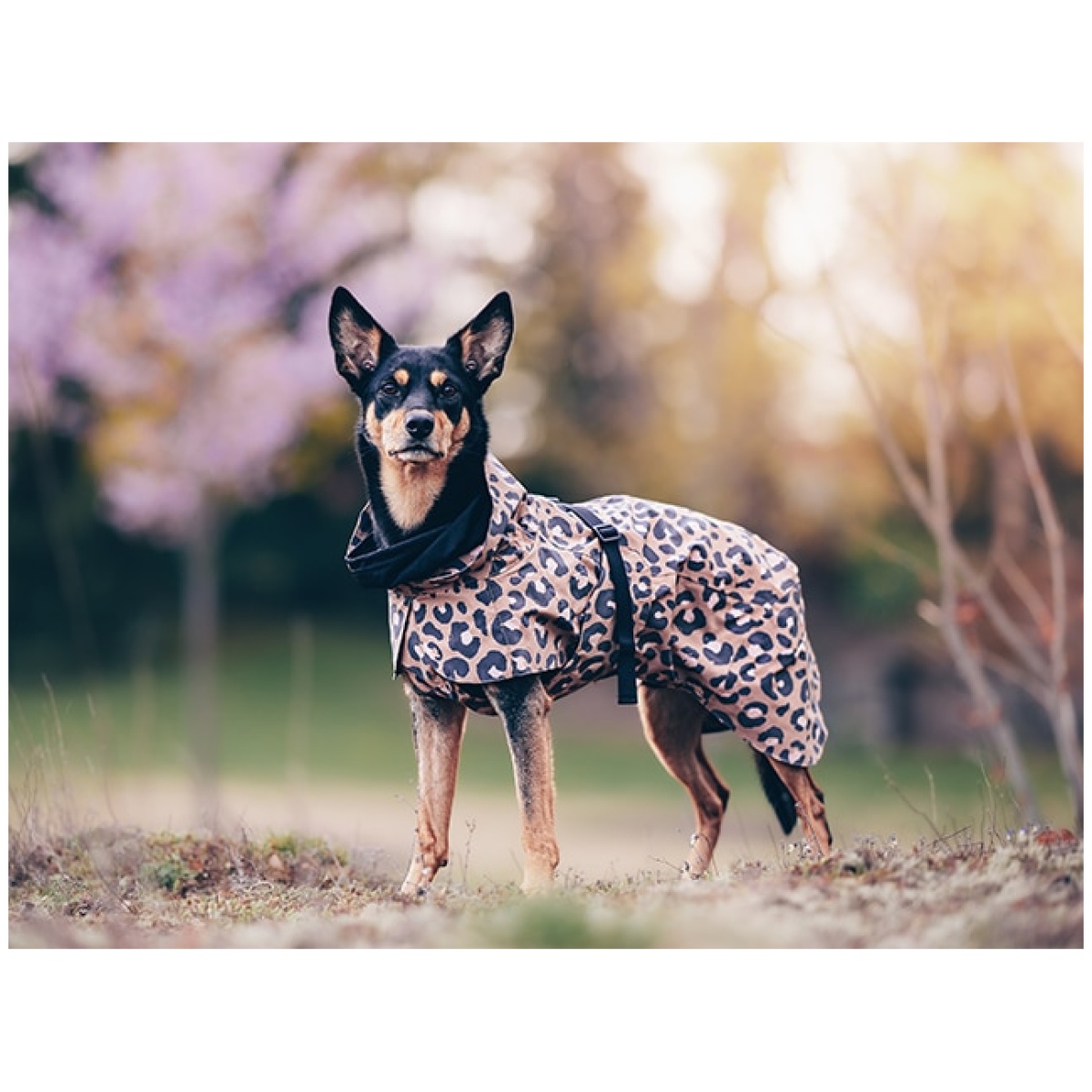 Paikka Visibility regnfrakke, leo - Billede 11