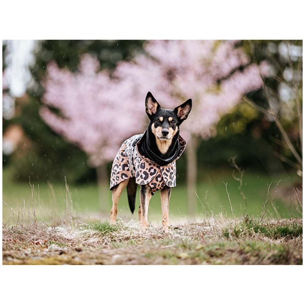 Paikka Visibility regnfrakke, leo - Billede 9