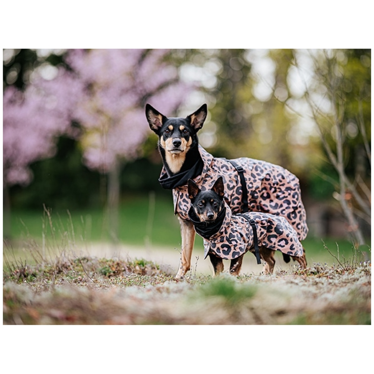 Paikka Visibility regnfrakke, leo - Billede 6