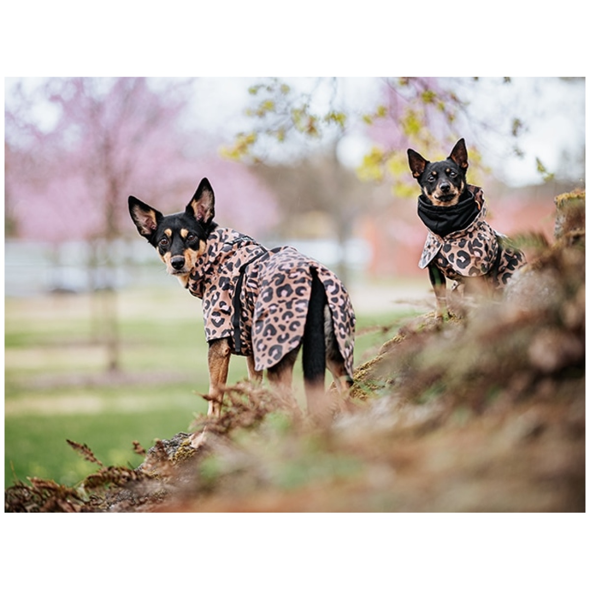 Paikka Visibility regnfrakke, leo - Billede 10