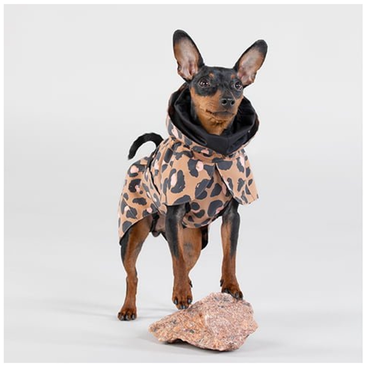 Paikka Visibility regnfrakke, leo - Billede 12