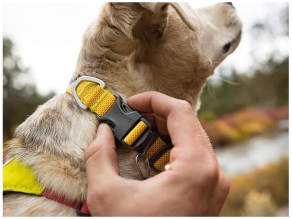 Ruffwear Hi & Light halsbånd, Lichen Green