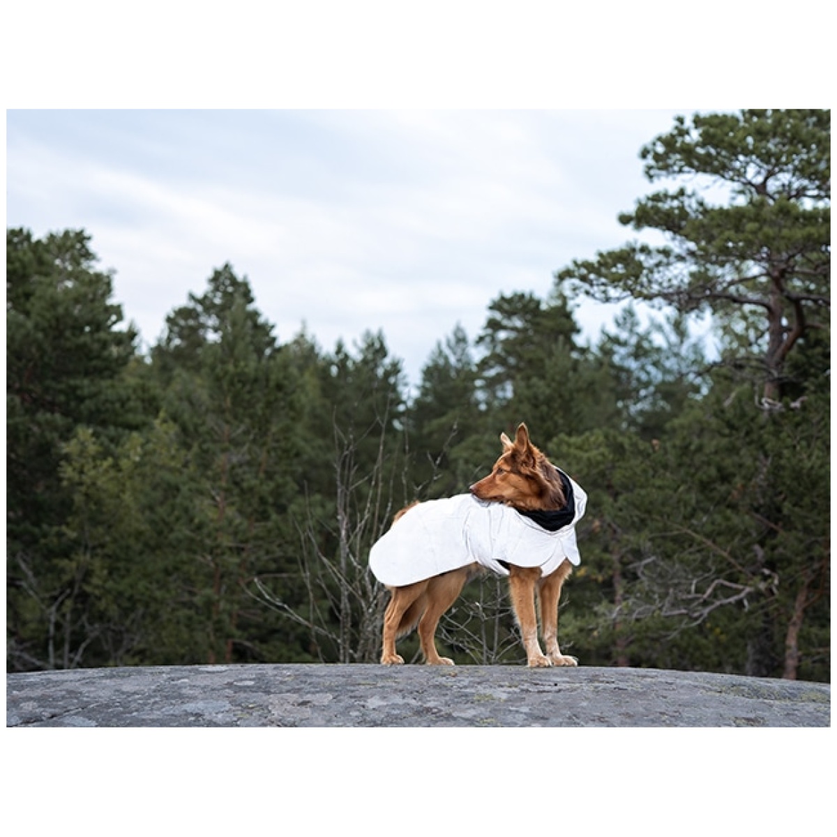 Paikka Recovery Wintermantel, dunkel – Bild 13