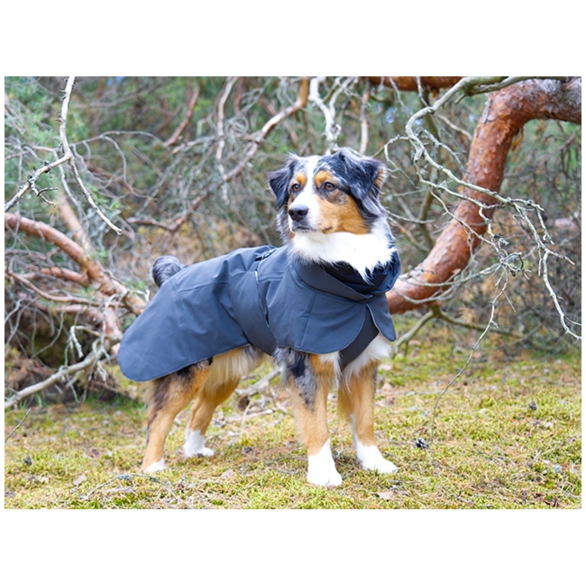 Paikka Recovery Winther Jacke