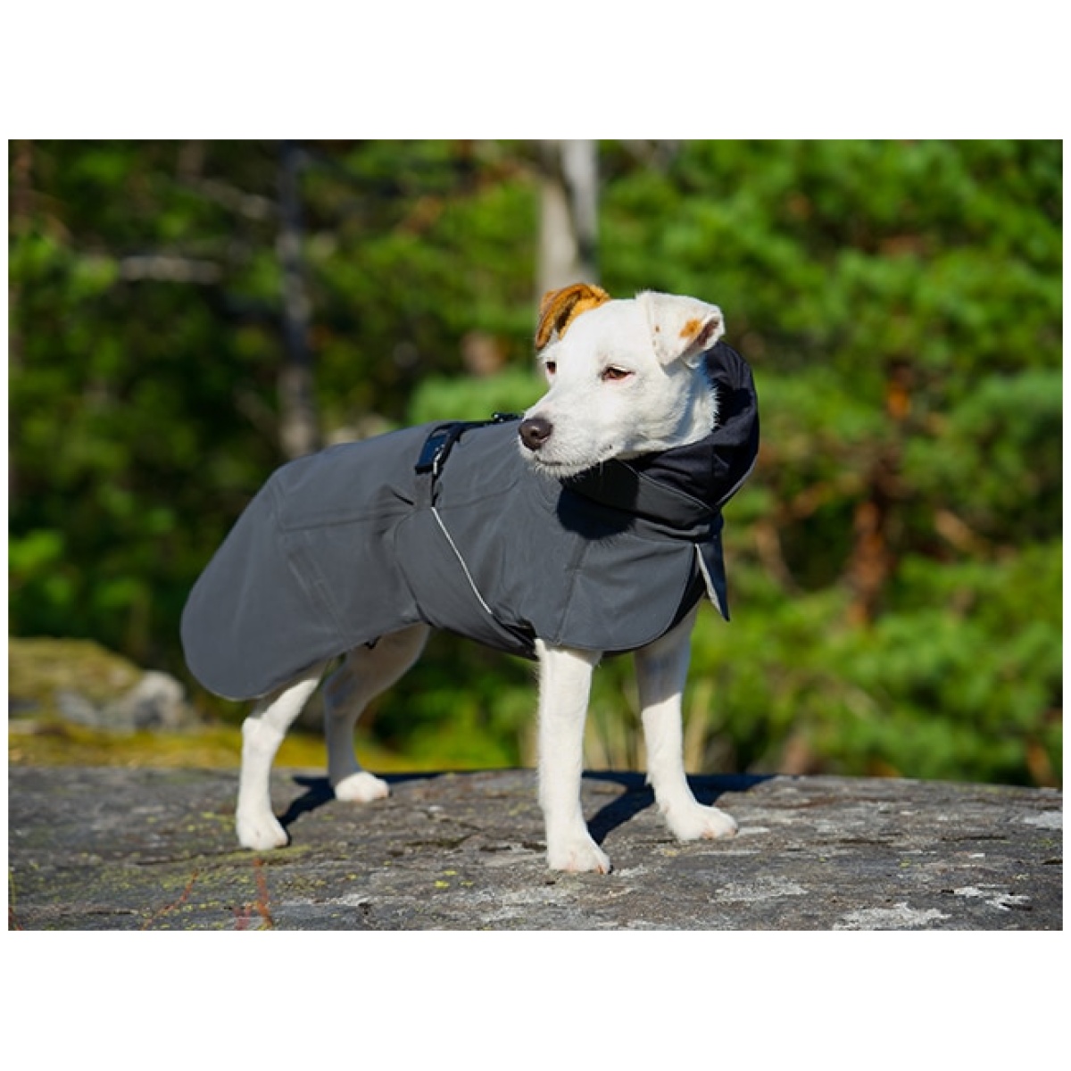 Paikka Recovery Wintermantel, dunkel – Bild 8