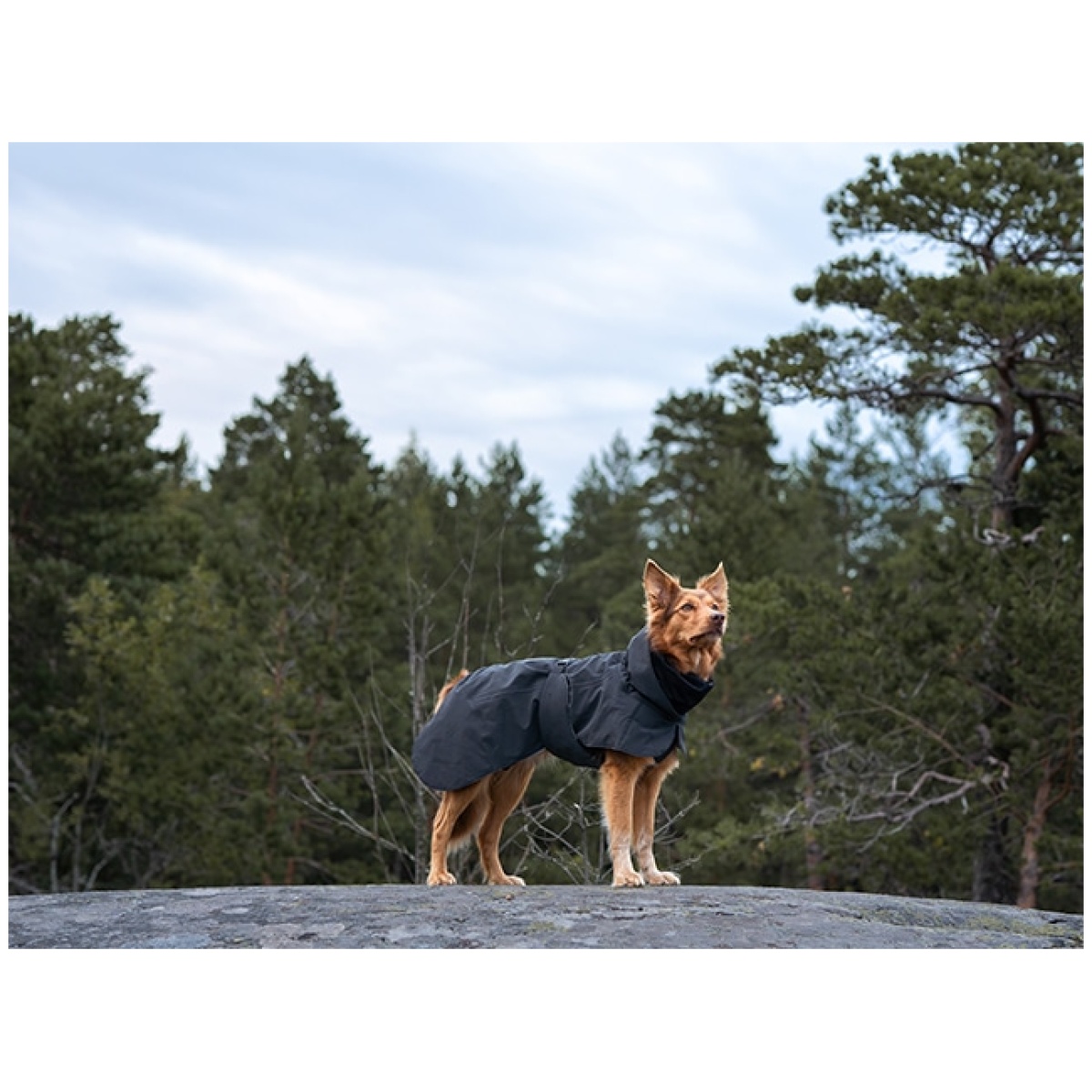 Paikka Recovery Wintermantel, dunkel – Bild 10