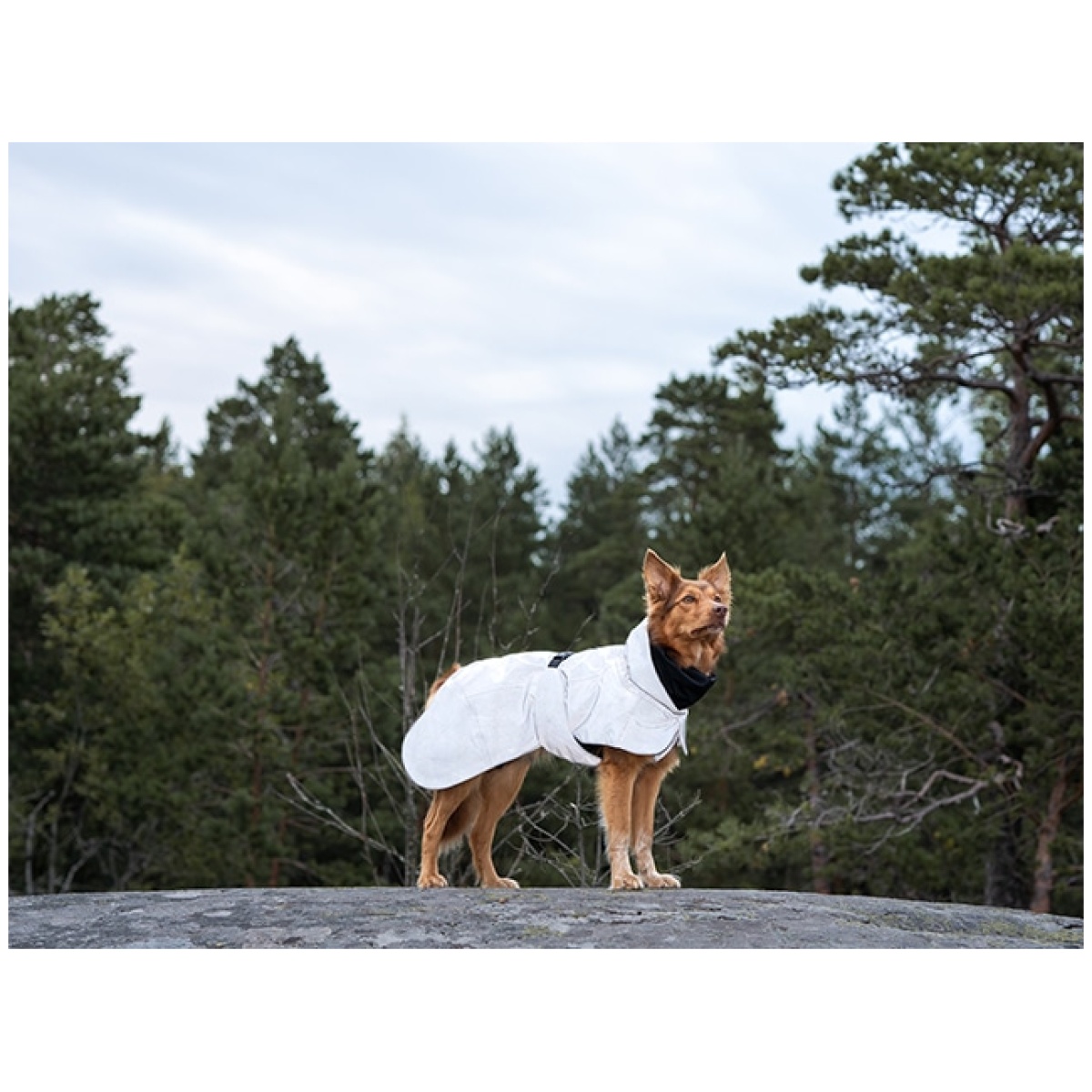 Paikka Recovery Wintermantel, dunkel – Bild 11