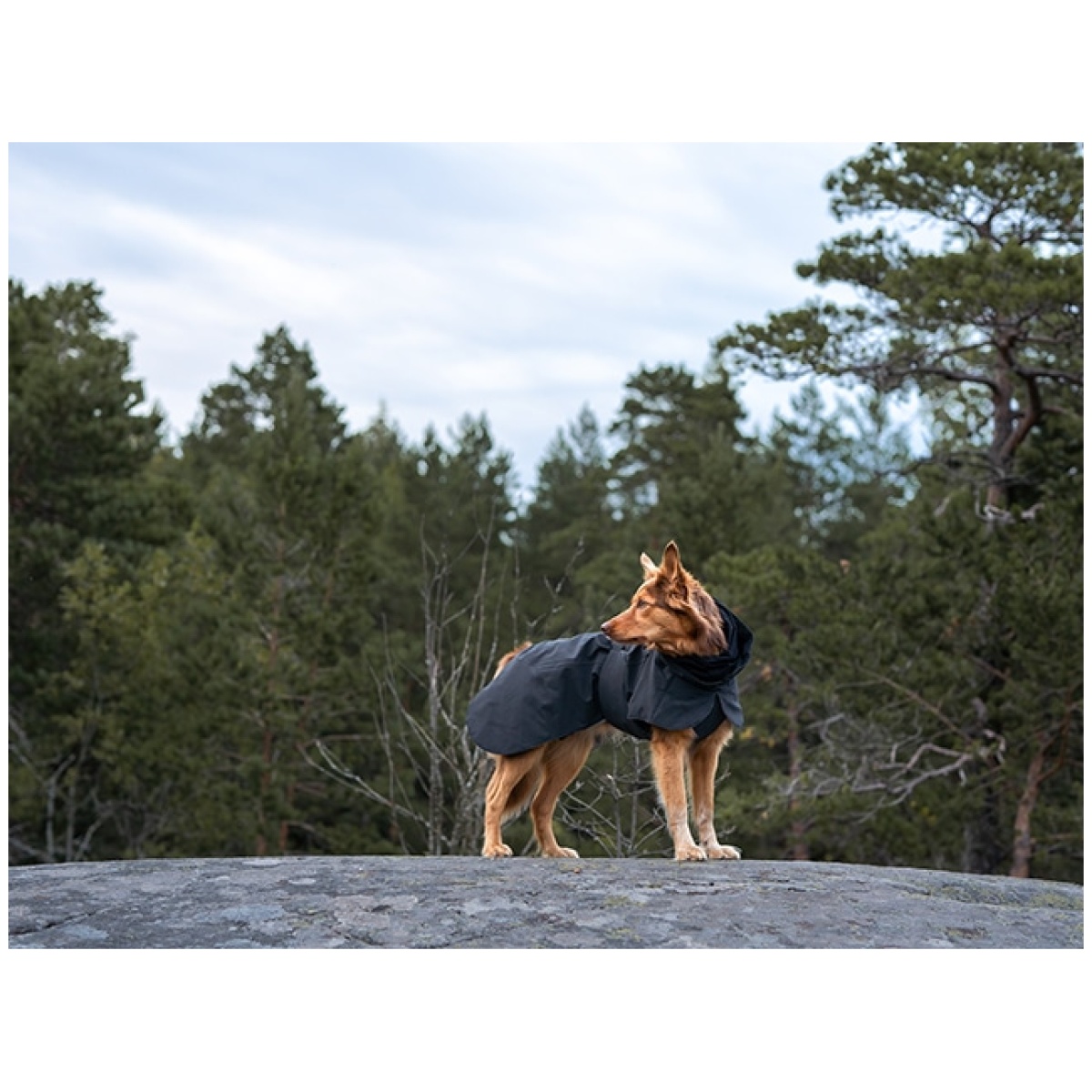 Paikka Recovery Wintermantel, dunkel – Bild 12