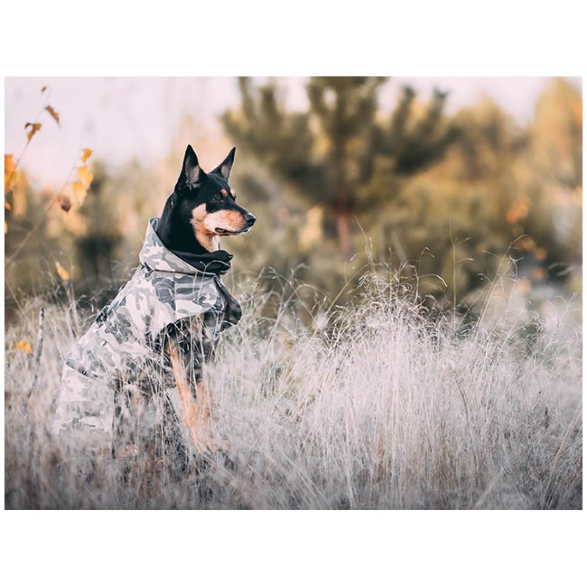 Paikka Recovery vinterfrakke, camo - Billede 11