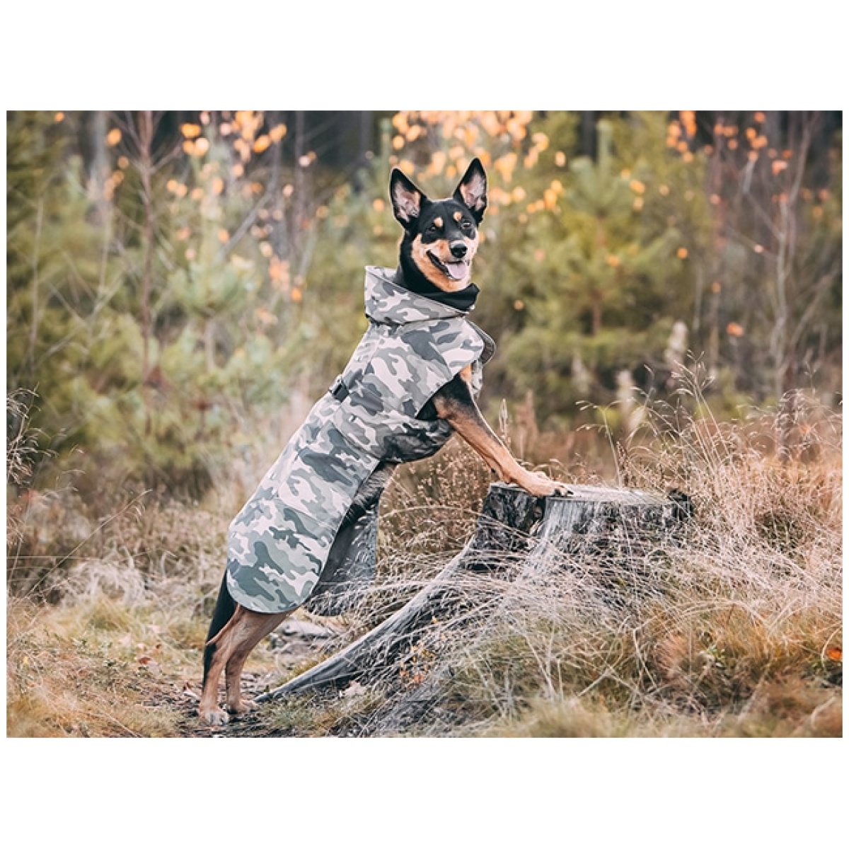 Paikka Recovery vinterfrakke, camo - Billede 12