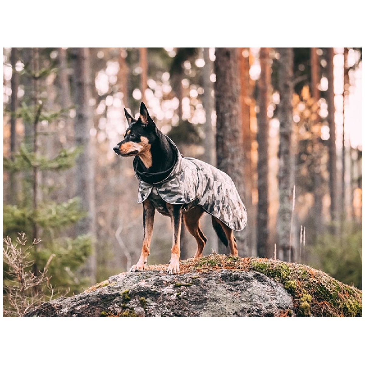 Paikka Recovery vinterfrakke, camo - Billede 13