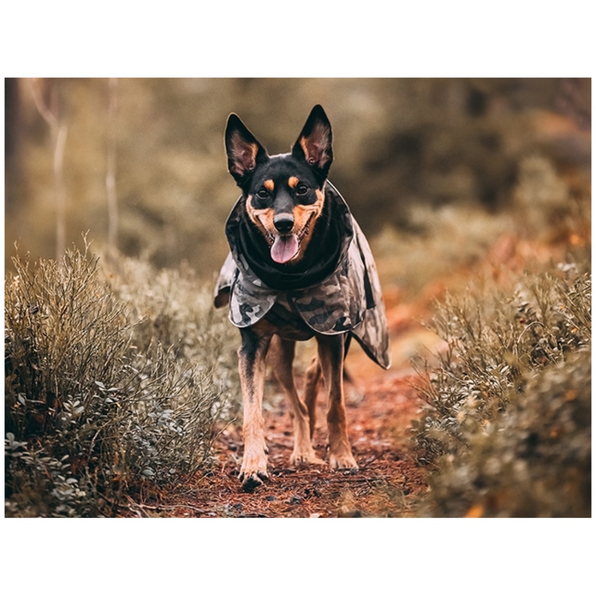 Paikka Recovery vinterfrakke, camo - Billede 14