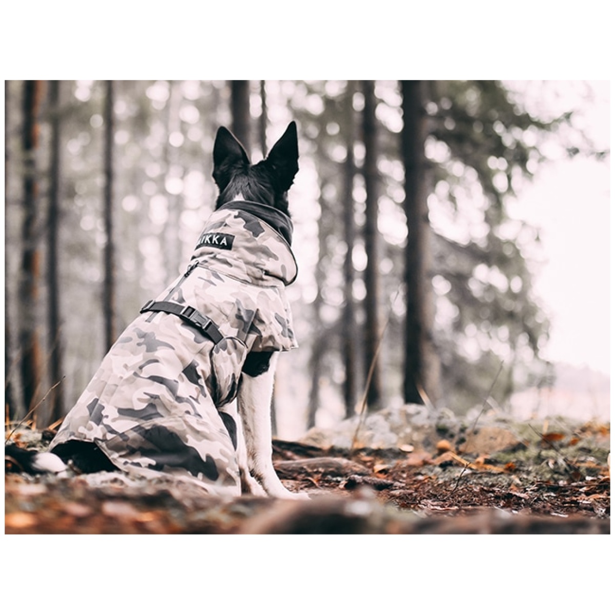 Paikka Recovery vinterfrakke, camo - Billede 15