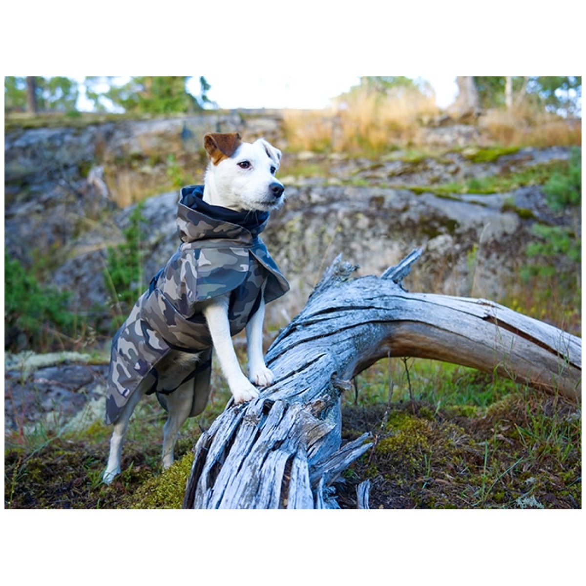 Paikka Recovery vinterfrakke, camo - Billede 6